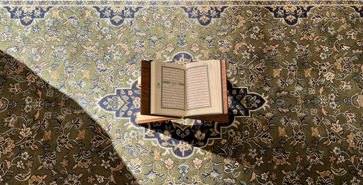 دُ ر ر tweet media