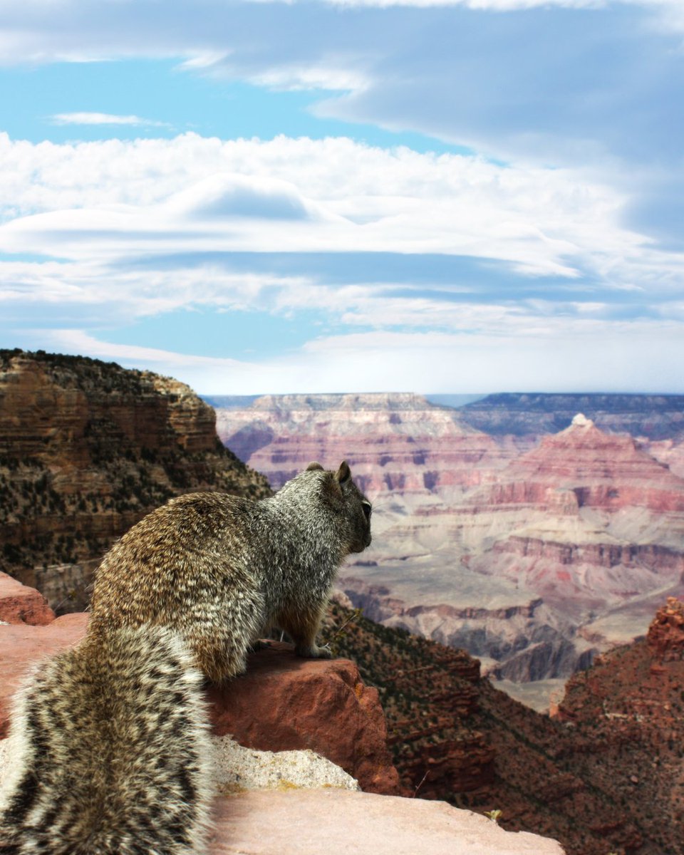 Sedona Philosophy tweet media