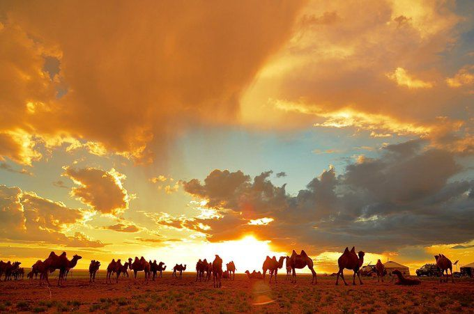 Сүрэн tweet media