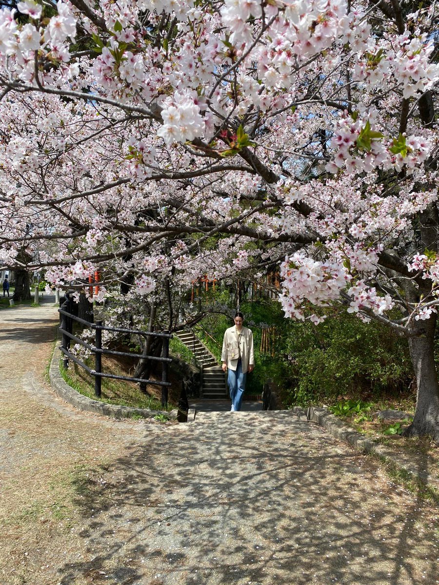 Travis 💡 tweet media