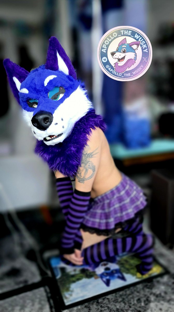 🔞Apollo_the_Wusky_AD🔞🍆🐺🇩🇪 tweet media