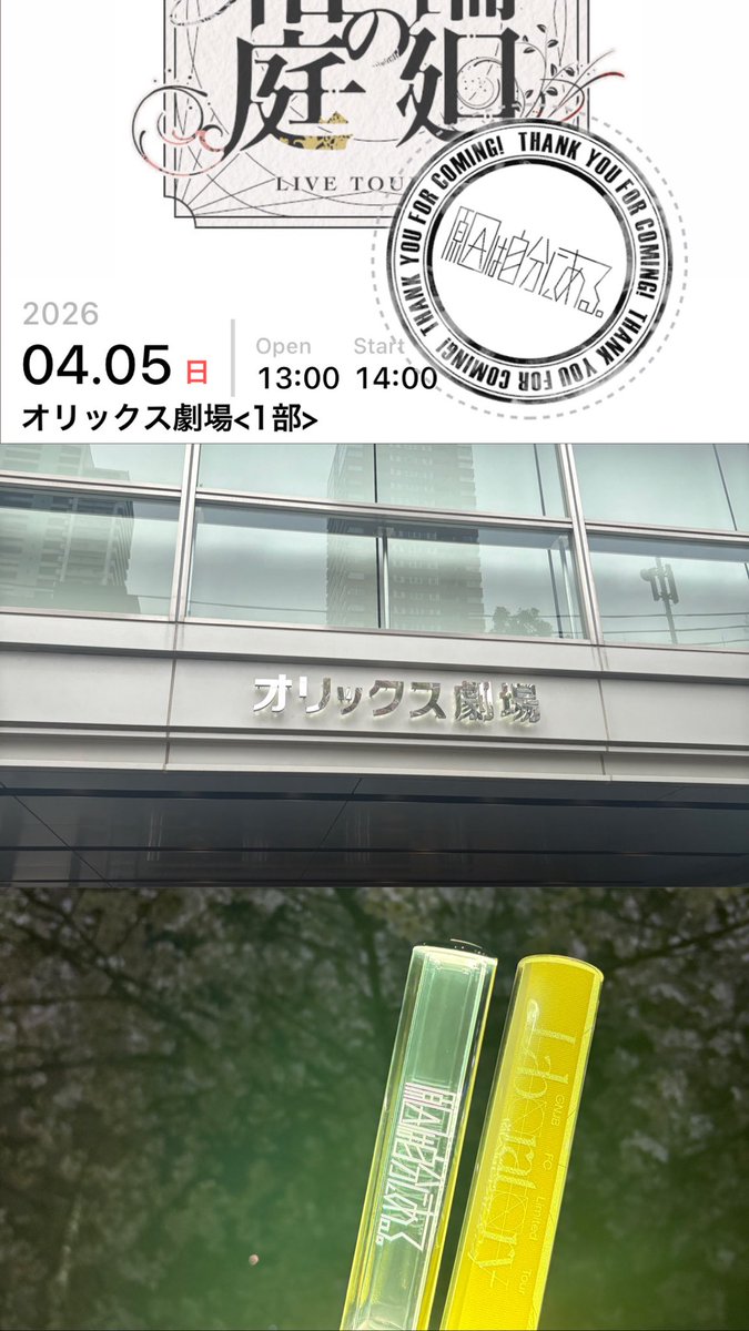 ぎょろ tweet media