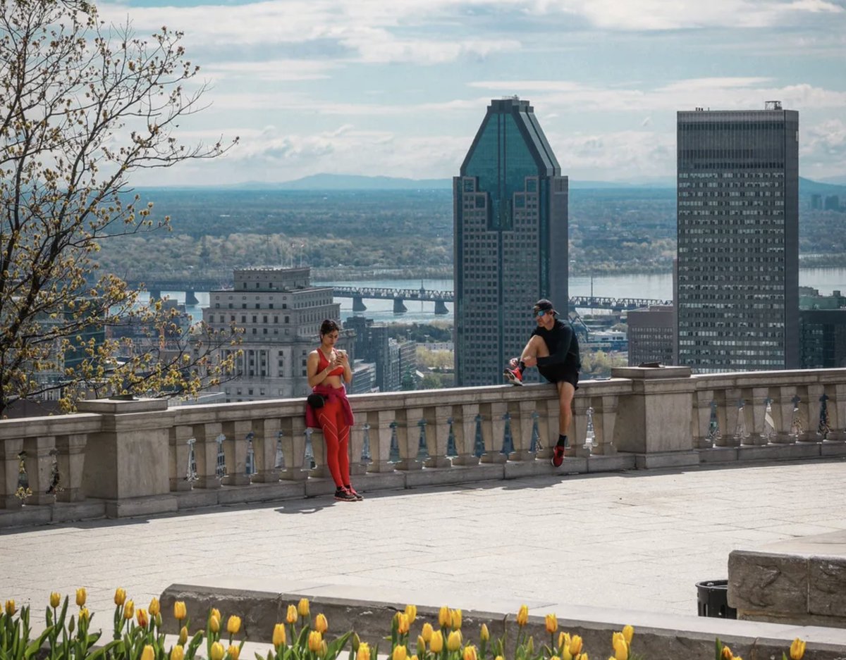 Mon Montréal tweet media