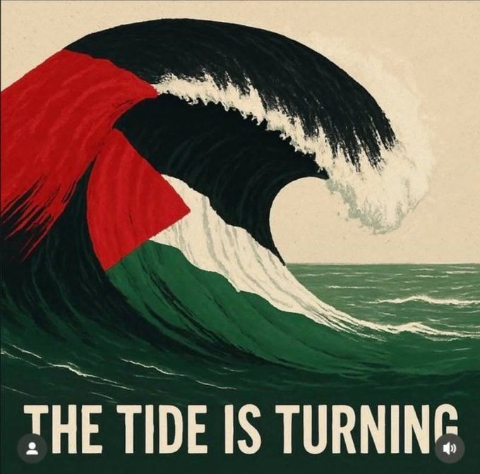 Motherland tweet media