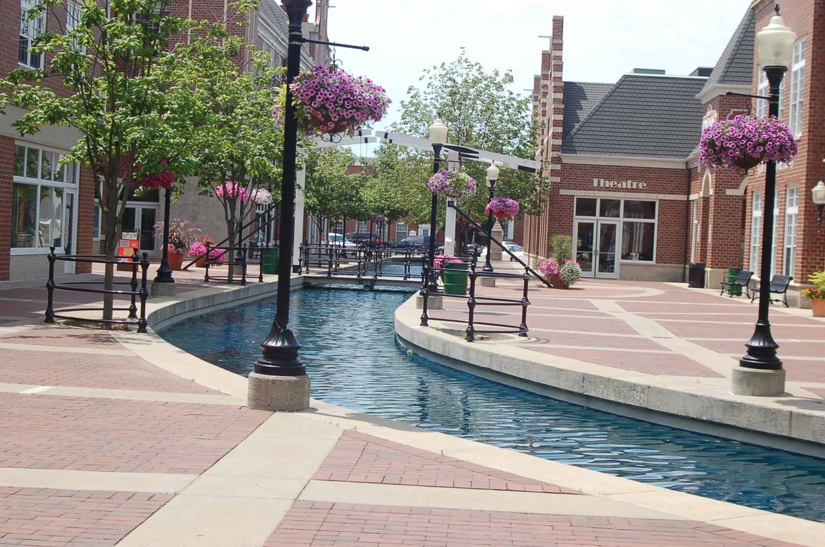 The Timeless Traveler tweet media