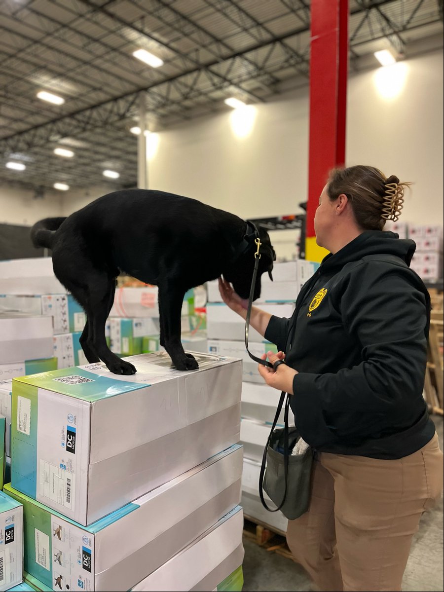 RealNCIS's tweet image. #NCIS &amp;amp; #LawEnforcement partners’ participation in a multi-agency proactive operation searching outbound cargo at the Port of Jacksonville resulted in the seizure of small amounts of marijuana, fentanyl, Schedule V narcotics &amp;amp; ammunition
@FBI @HSI_HQ @DEAHQ @cbp @USCG @JSOPIO