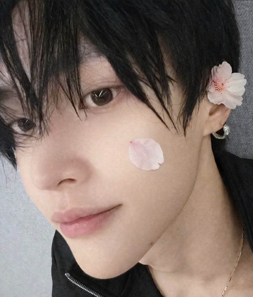 박규민 (상태 : 콩순무새) tweet media