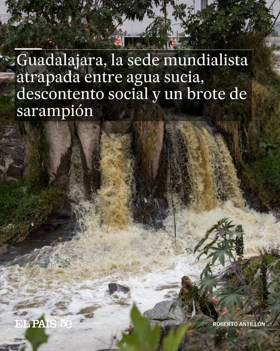 EL PAÍS México tweet media