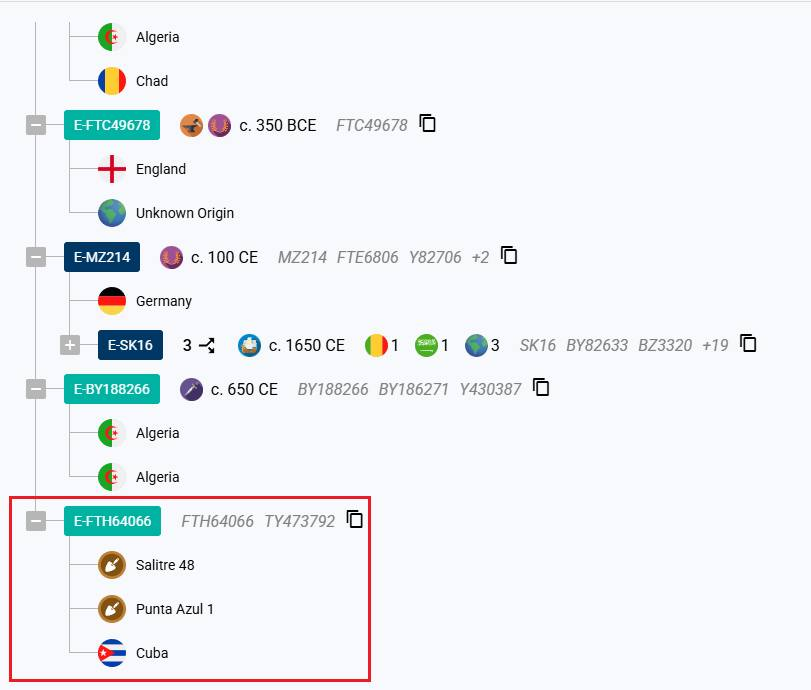 E-L19 E-M81 السلالة الأمازيغية tweet media