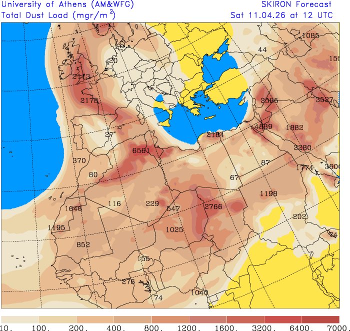 Surrey Palms & Exotics tweet media