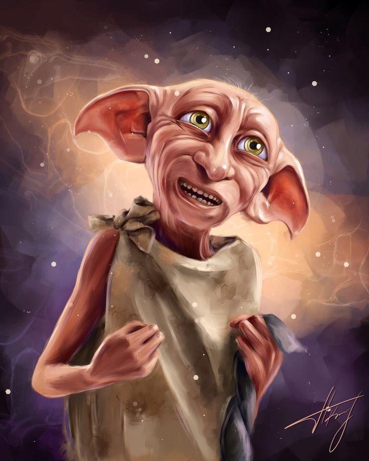 acervo dobby tweet media