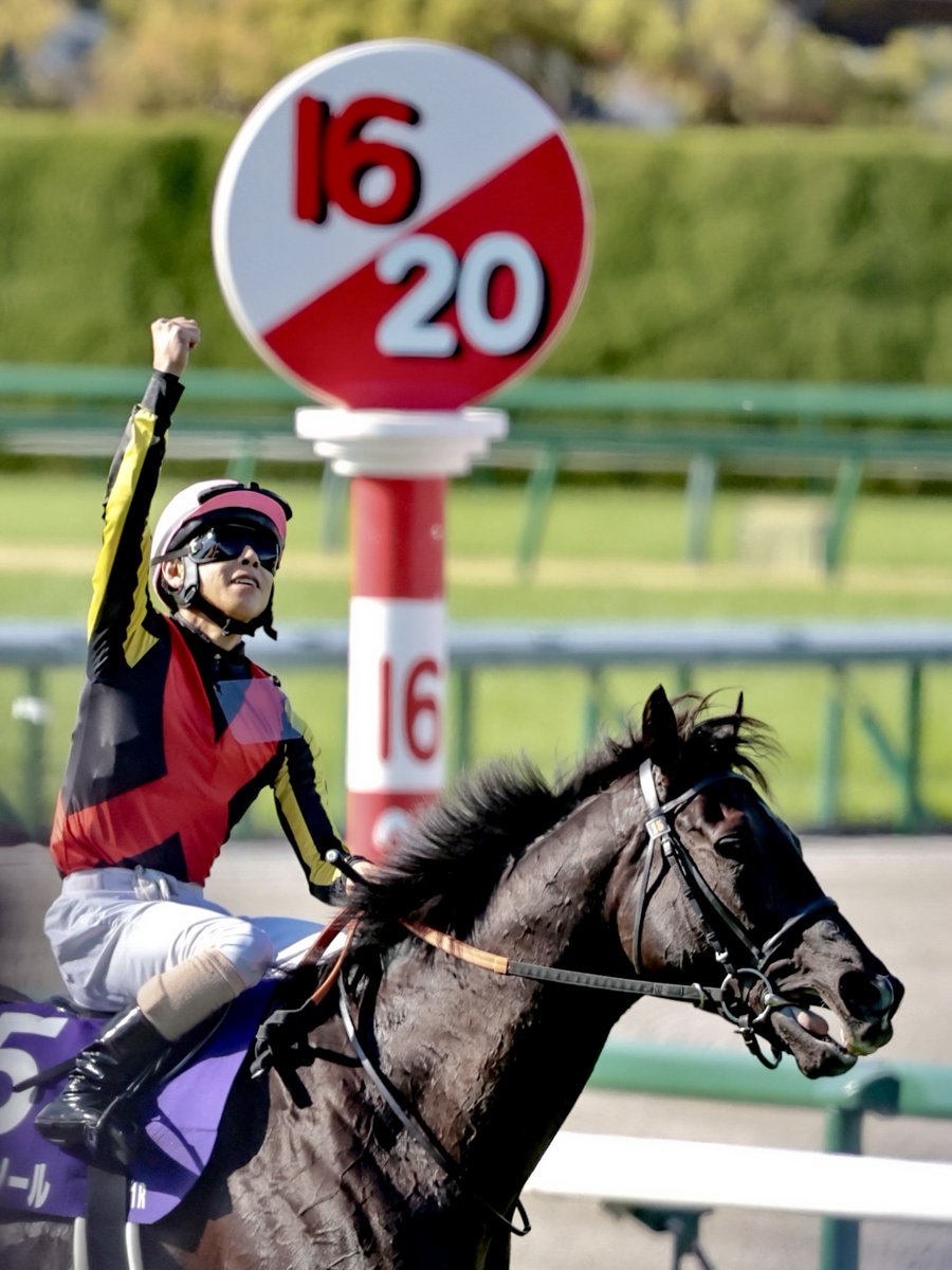 M i k a 。。* tweet media