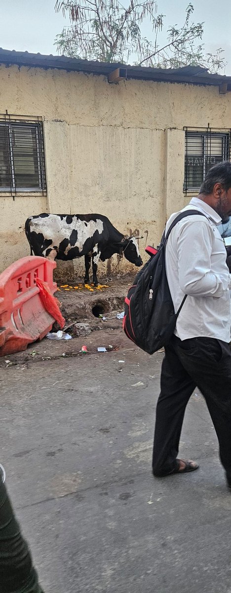 prkhsam's tweet photo. This the condition of ghatkopar east stn. https://t.co/q0sVaTFOau