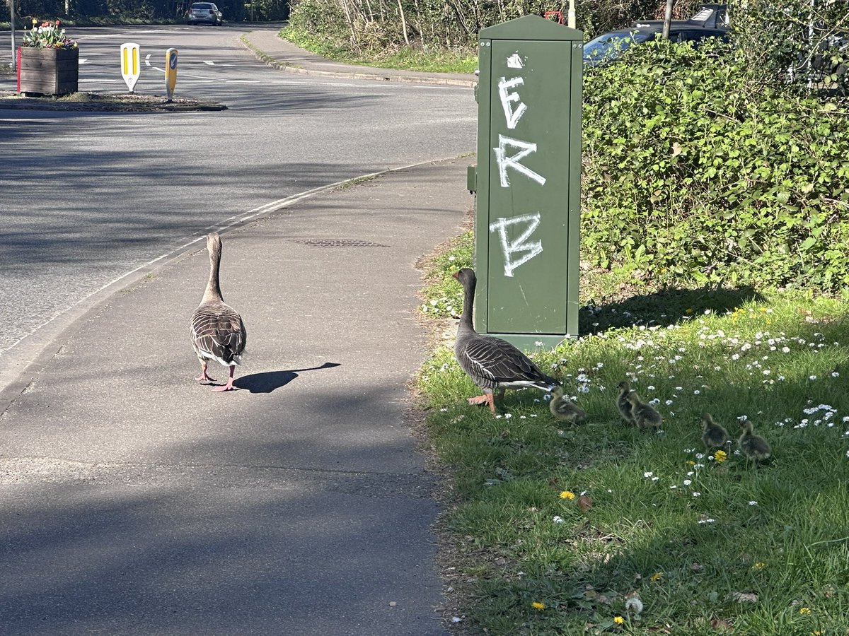 s0apadope tweet media