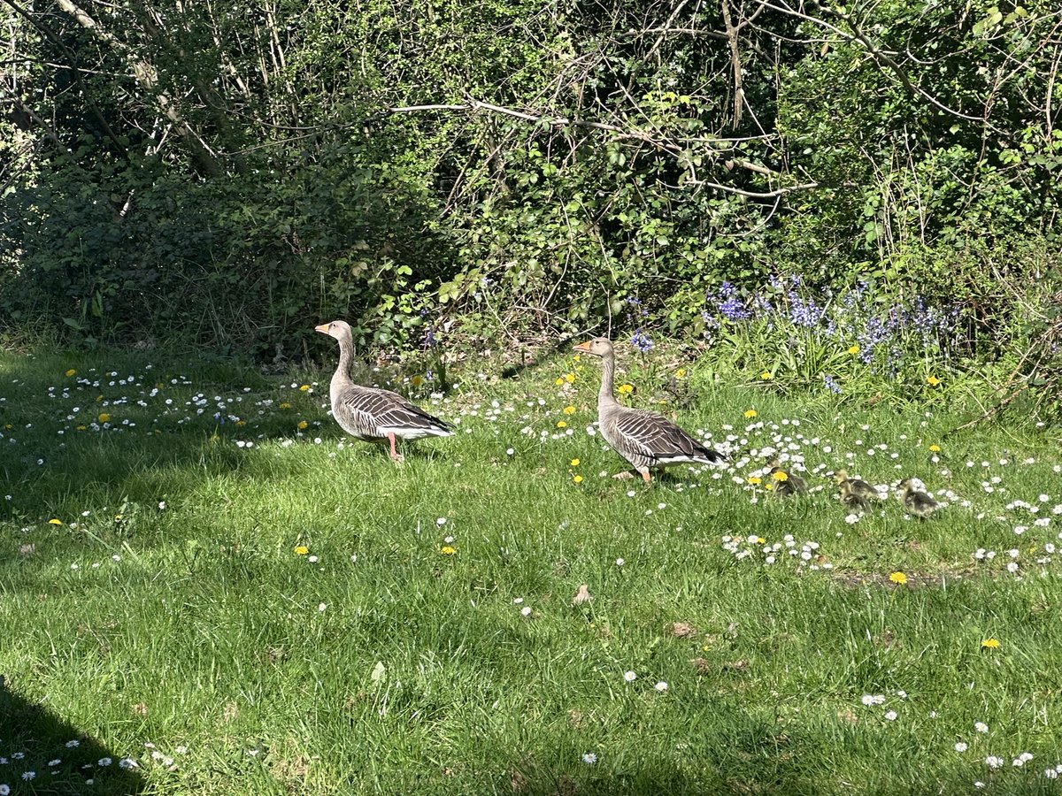 s0apadope tweet media