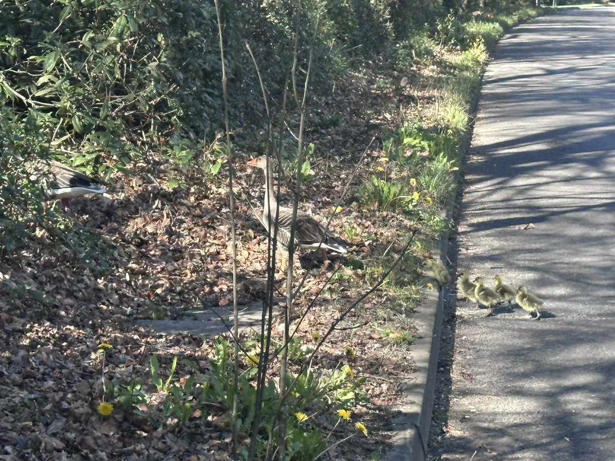 s0apadope tweet media