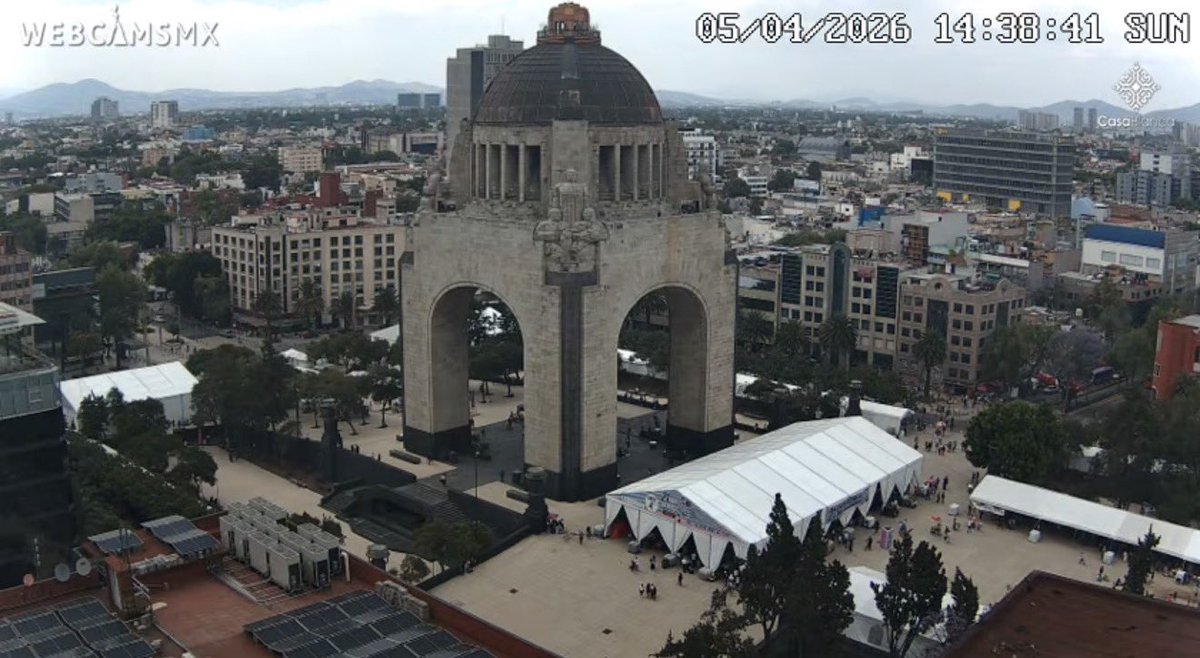 CAMILISMO tweet media