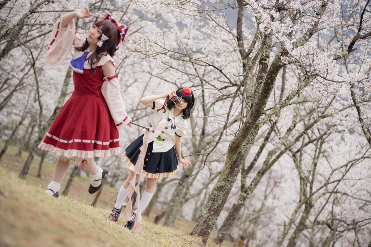 塩こをろ@春例ぬ42a tweet media