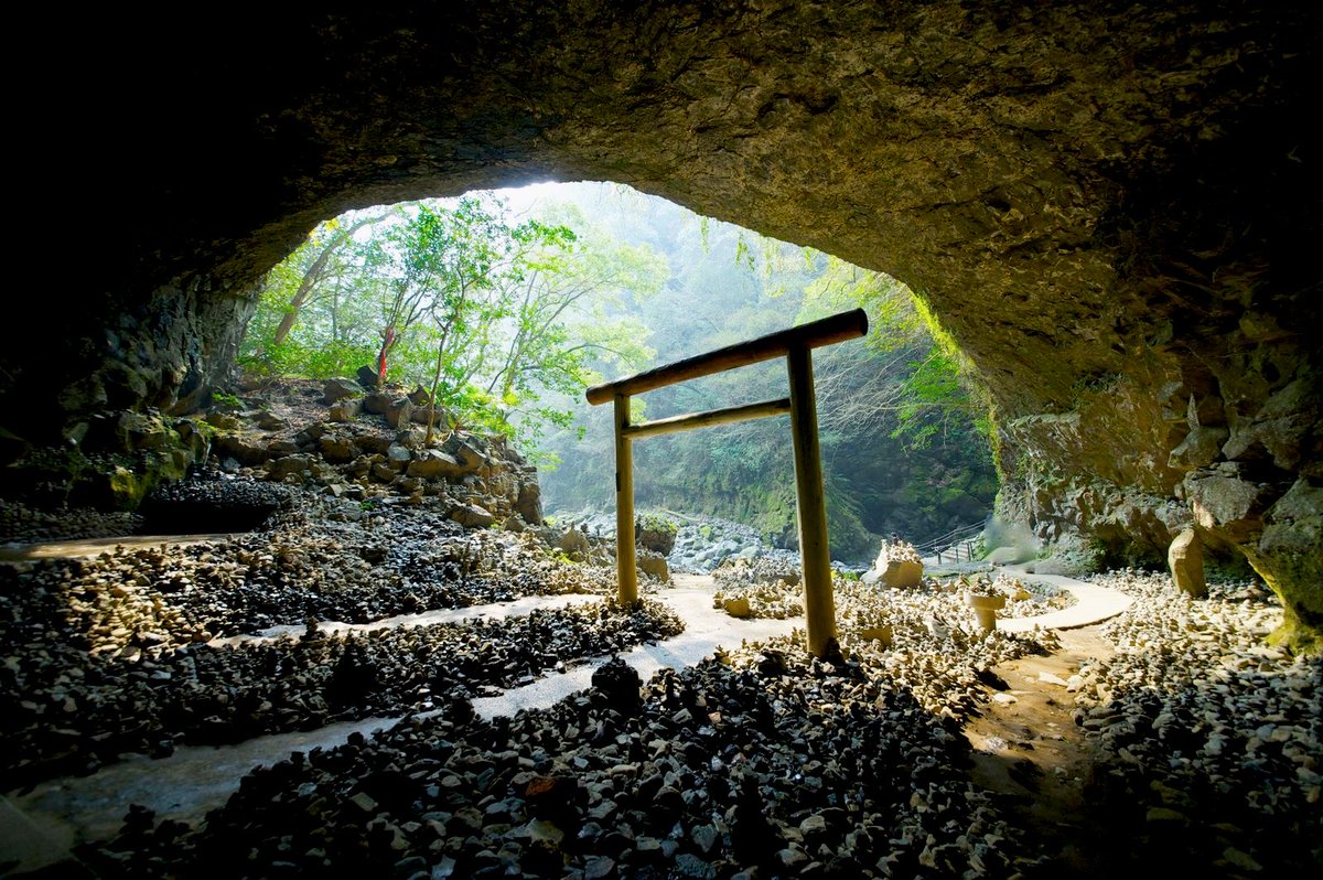 ちゃんほた🌸 tweet media