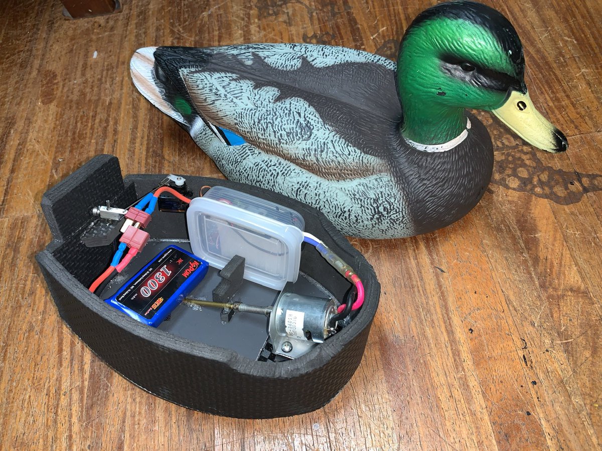 杉浦商店 tweet media