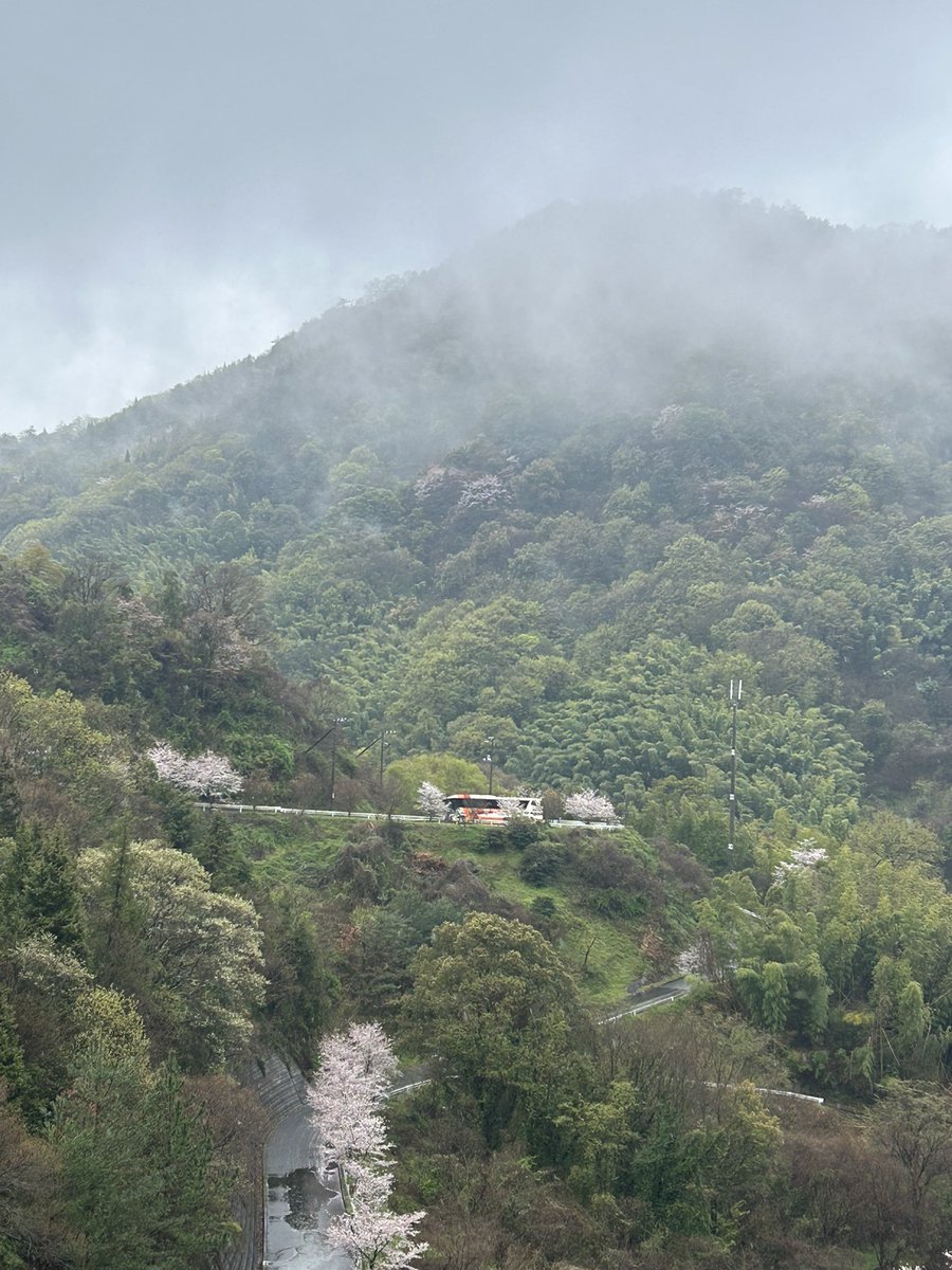 因の島バス株式会社IN因島 tweet media