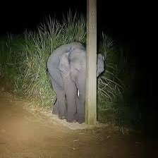 ʜᴀᴍᴢᴢɪ (*´・ェ・)っ tweet media