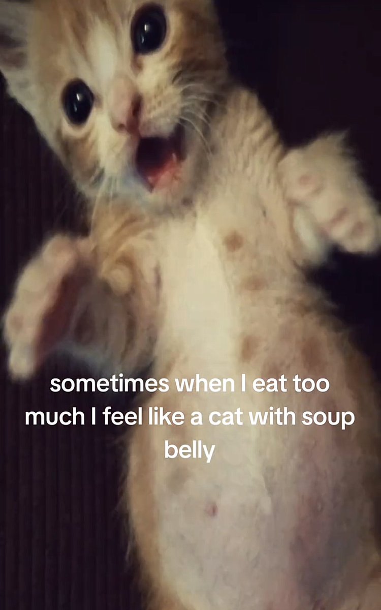 ♱ 𝒸𝒽𝓁𝑜𝑒𝒽 ♱ tweet media