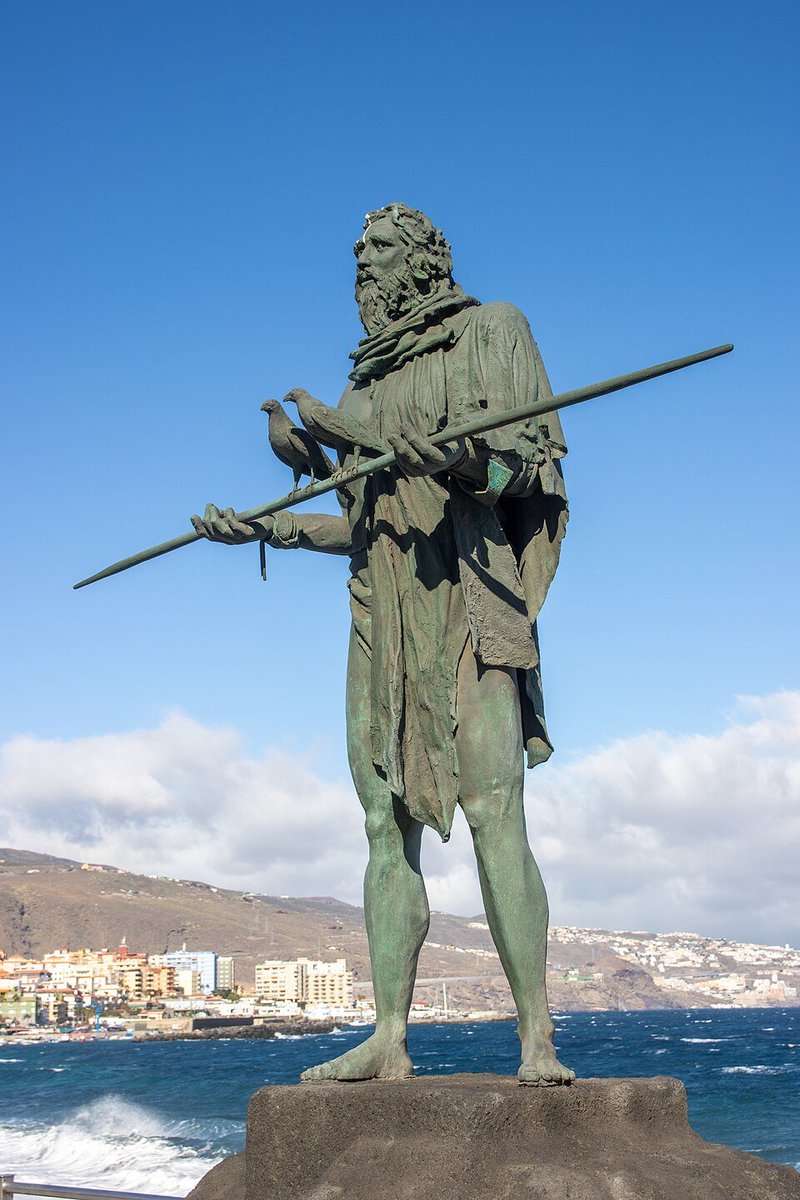 E-L19 E-M81 السلالة الأمازيغية tweet media