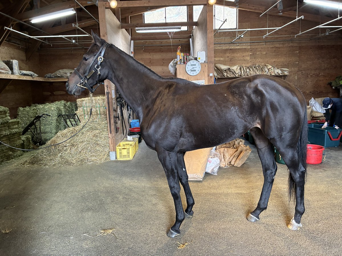 おやおやー tweet media