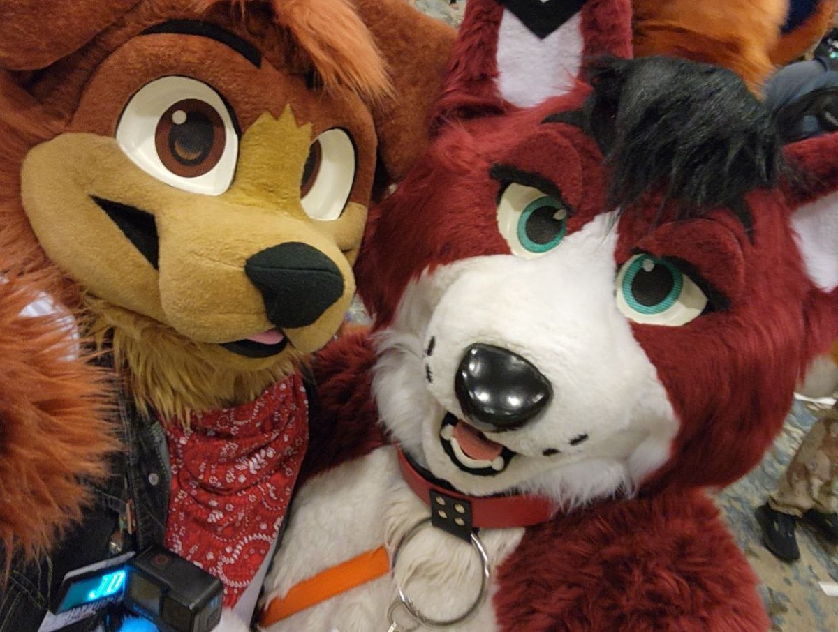 Spring Kibbins 🌺 🔜 FWA 2026 tweet media