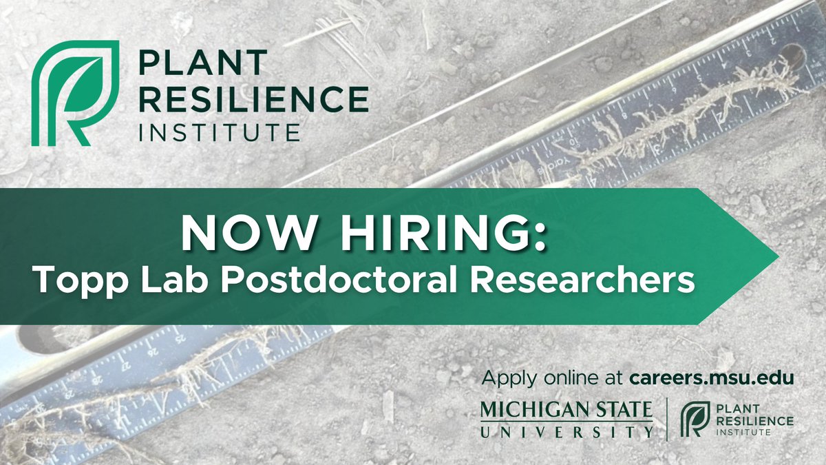 MSU Plant Resilience Institute @msupri.bsky.social tweet media