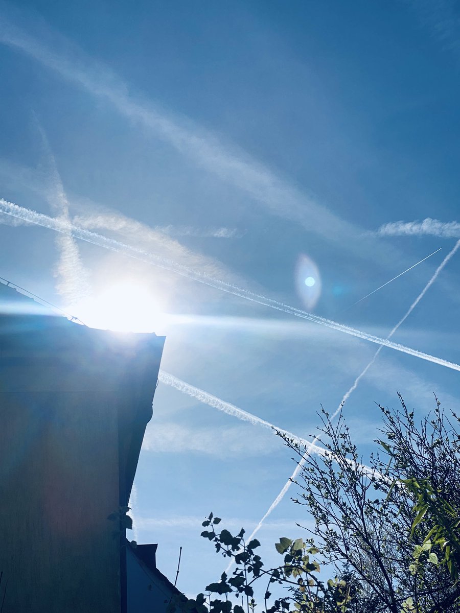 Frollein B.🕊️ tweet media