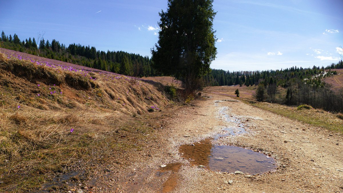 Leaving 🎗️🇮🇱🇺🇦🇪🇺🇨🇦🇬🇱 tweet media