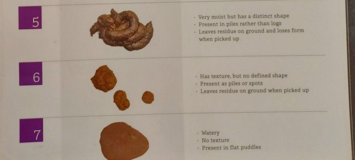 Corin Nemec tweet media