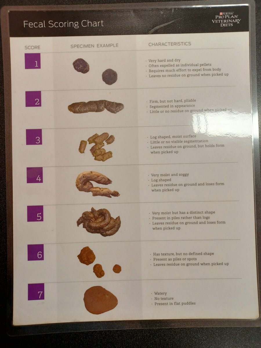 Corin Nemec tweet media