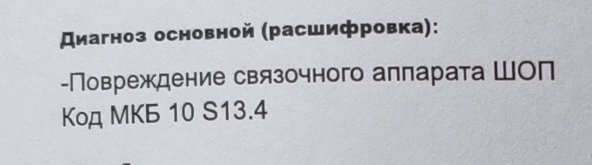 RokiToki tweet media