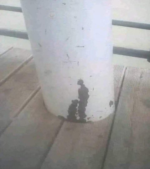 emye 😏 tweet media