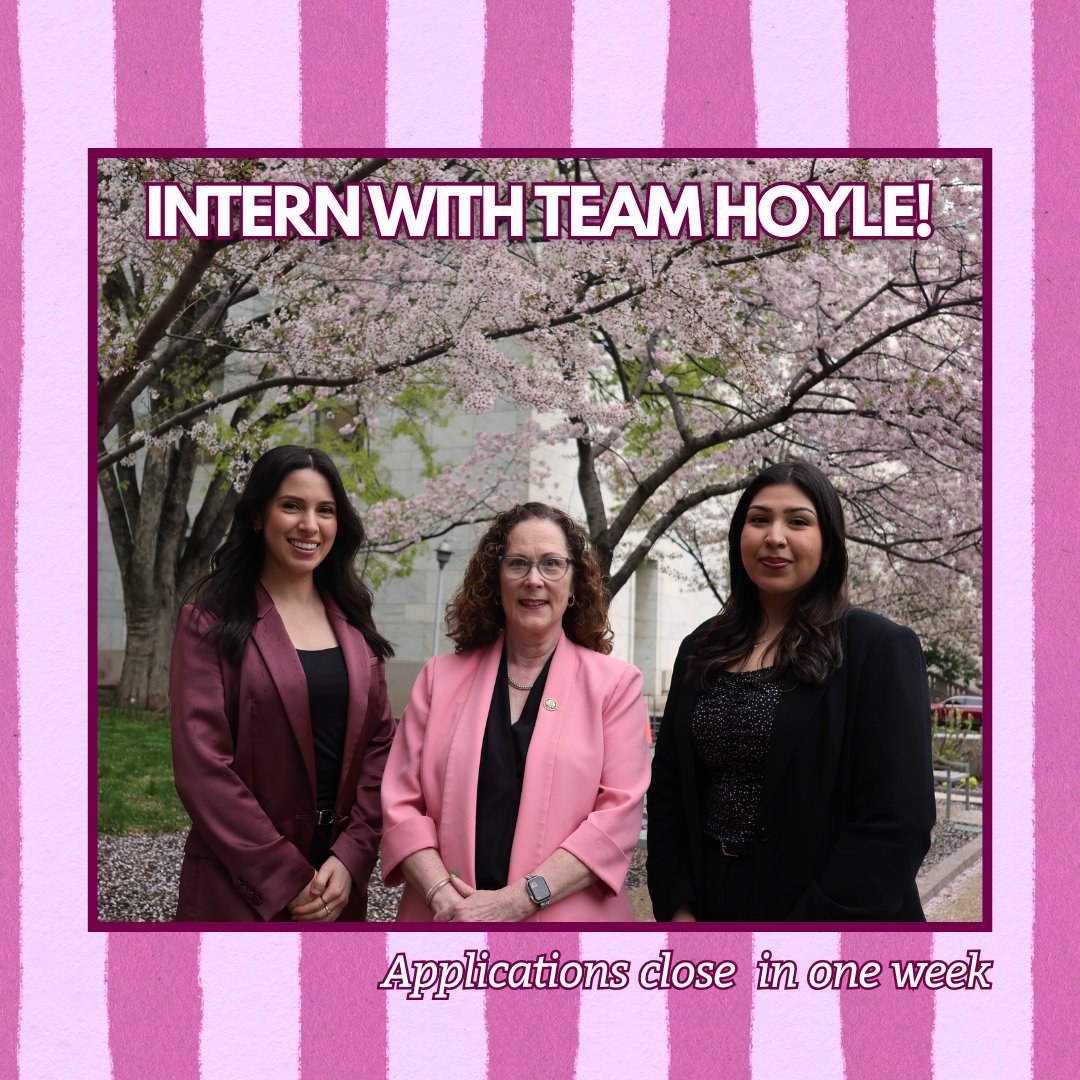 Representative Val Hoyle tweet media