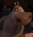 Protagonista🌻 tweet media