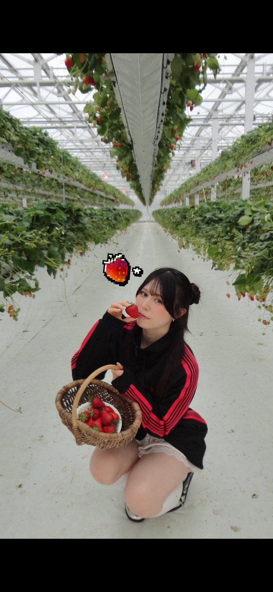 ⸌̟͂̋⸍̑⸜̑⸝͂ ໋𓏸𓈒𓂃

狩りってきましたいちご.ᐟ.ᐟ·̩͙꒰ঌ(̨̡՞  ¨̮  ՞)̧̢໒꒱·̩͙

                                                         𓂃 𓈒𓏸 ⸌̟͂̋⸍̑⸜̑⸝͂ ໋