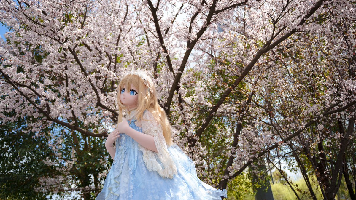 树啊叶 tweet media