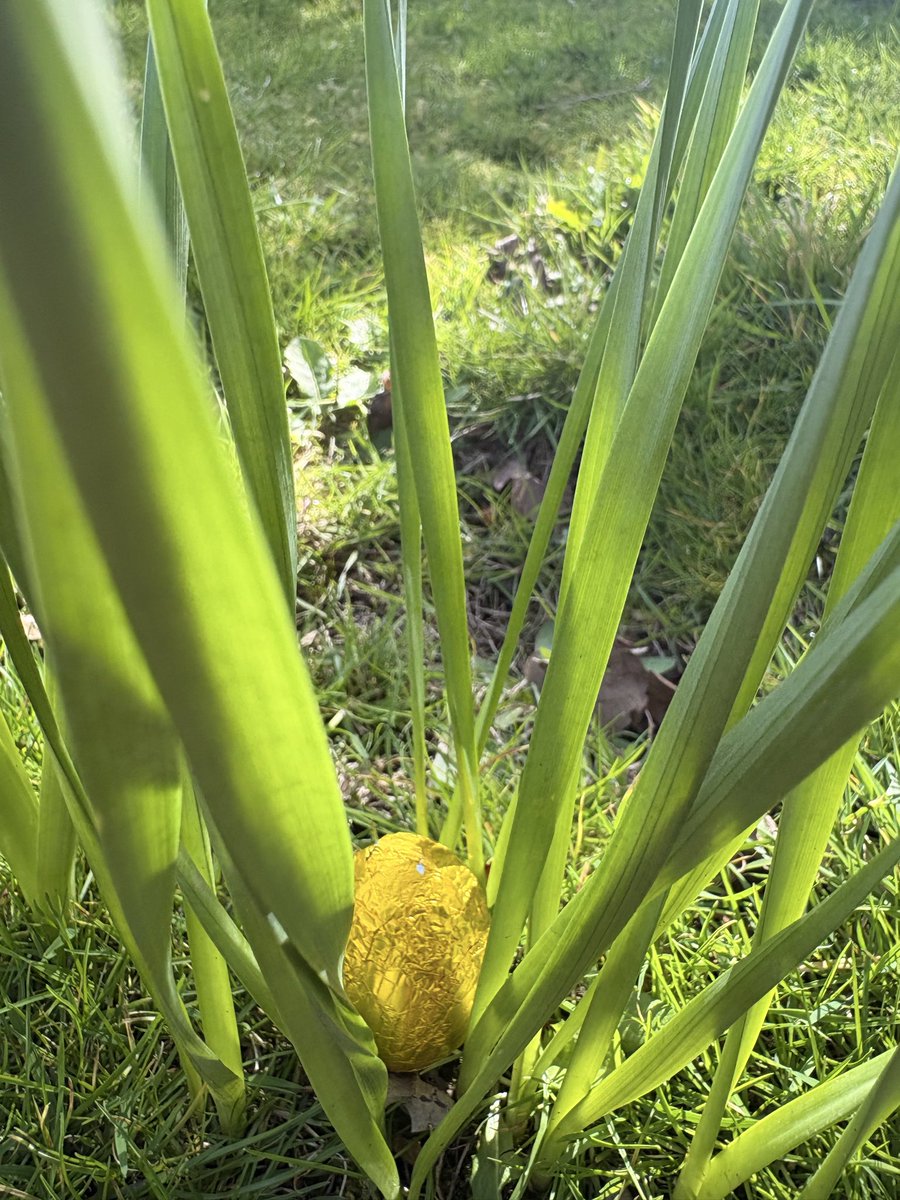 Annunziata Rees-Mogg tweet media