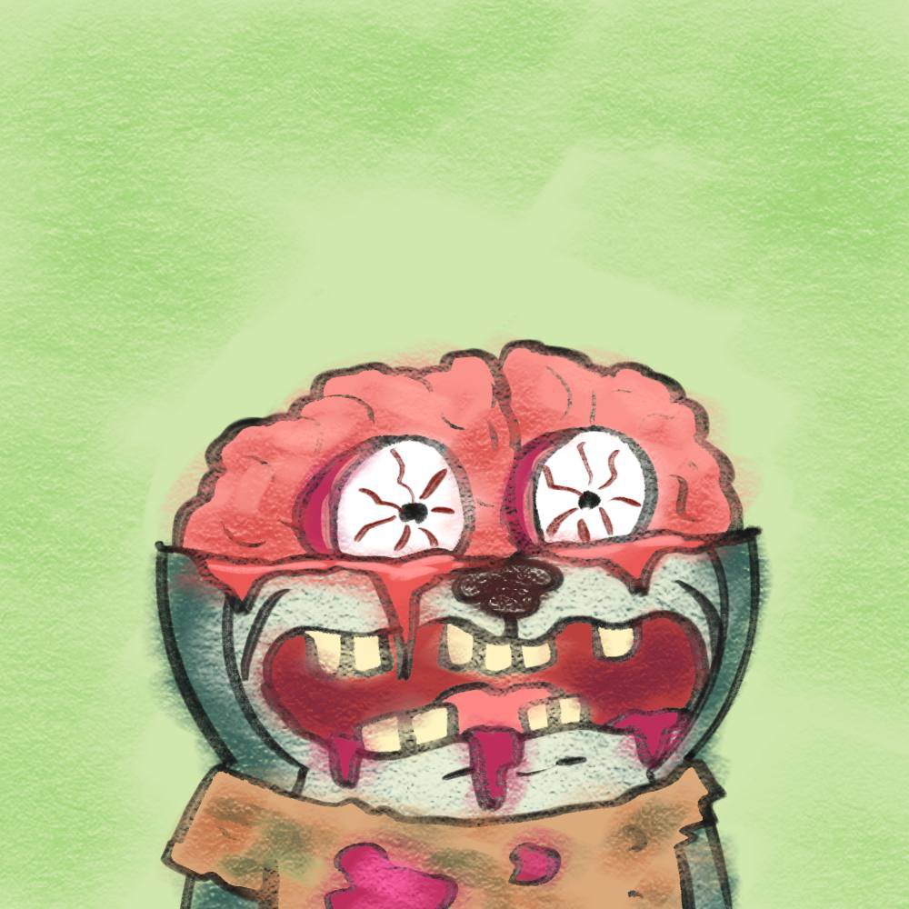 OCTO 🥷 tweet media