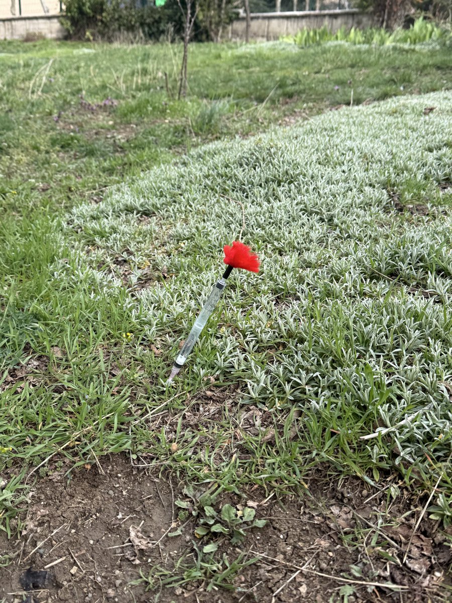 Minerva Knecht tweet media