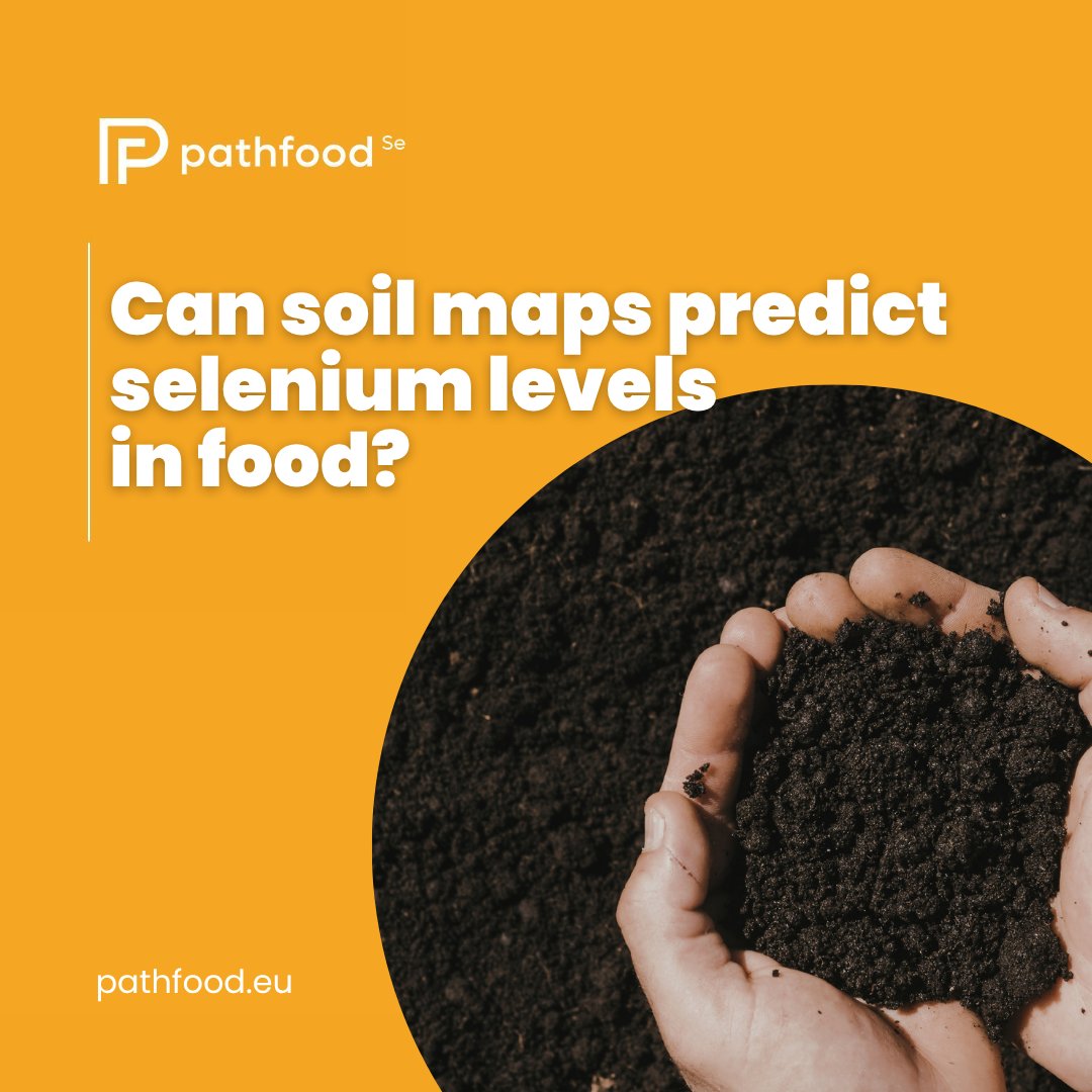 PATHFOOD tweet media