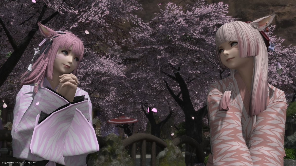 Astela.FF14 tweet media