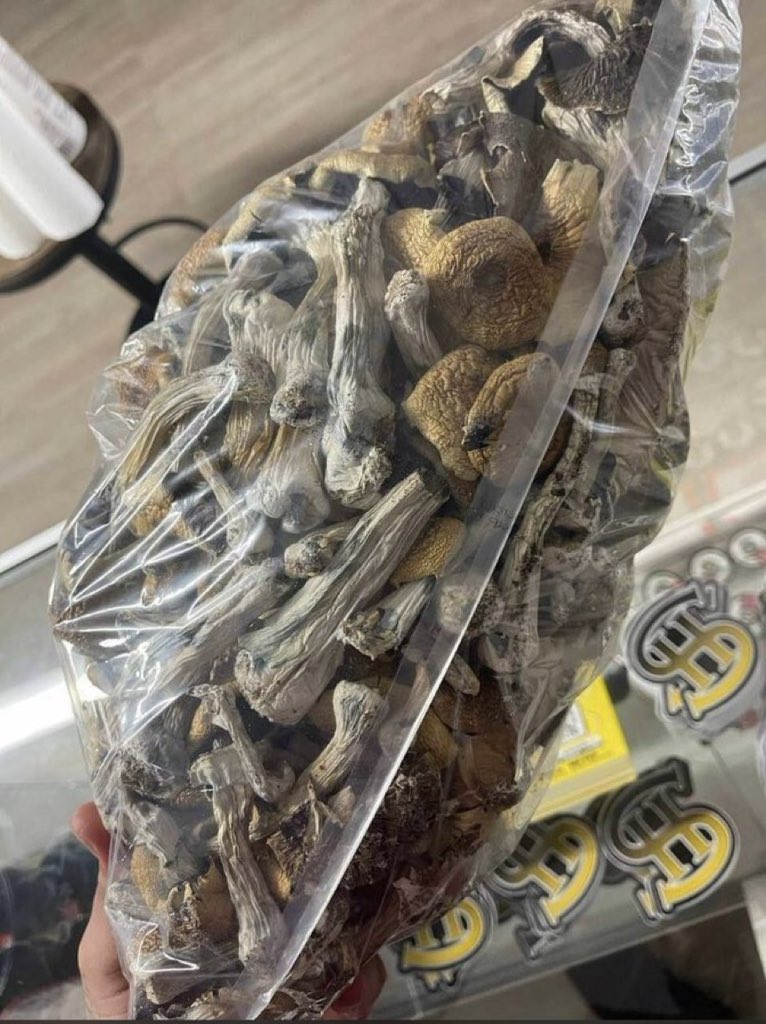 Starplug420's tweet photo. Need gas
plug in Orlando ? Dm and get your  top
quality bud
#orlando #za #plug https://t.co/xAAtqtQuEy