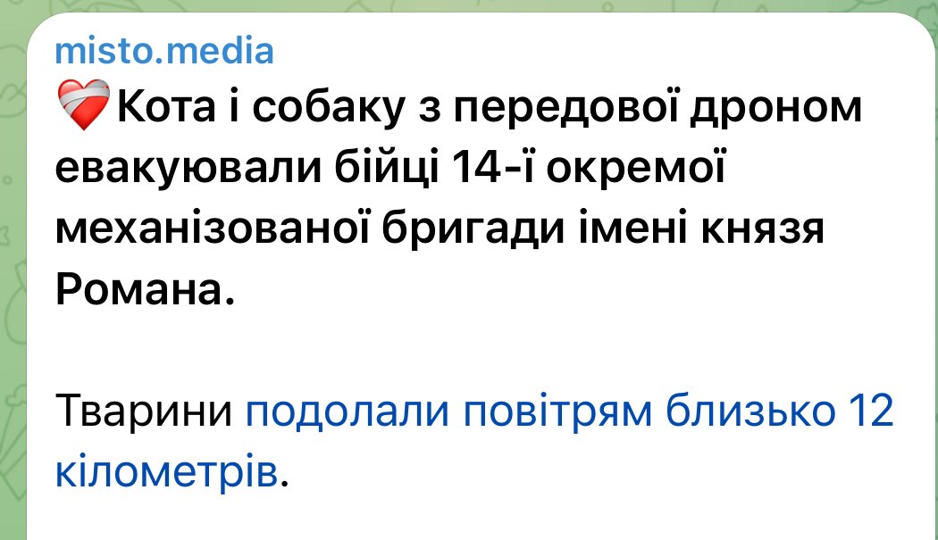 Волинська Пантарка tweet media