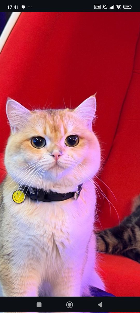 Vlada 💙 tweet media