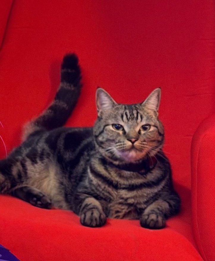 Vlada 💙 tweet media